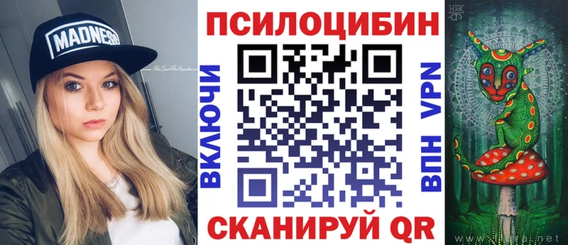 Псилоцибиновые грибы Magic Shrooms  где купить наркоту  Алзамай 